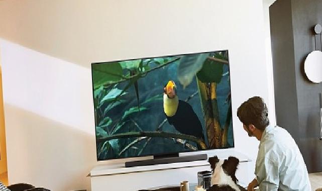 TechRadar 2025 yılında Samsung S95F OLED TV’yi ‘Yılın TV’si seçti