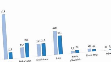 Teknogirişim Araştırması, 2024