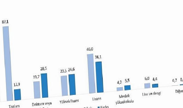 Teknogirişim Araştırması, 2024