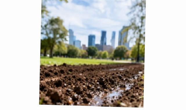 TEMA Vakfı: Sağlıklı kentler için, sağlıklı topraklara gereksinimimiz var!