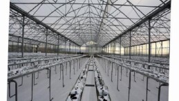 Termal Sera İle Verimli Üretim Başlıyor