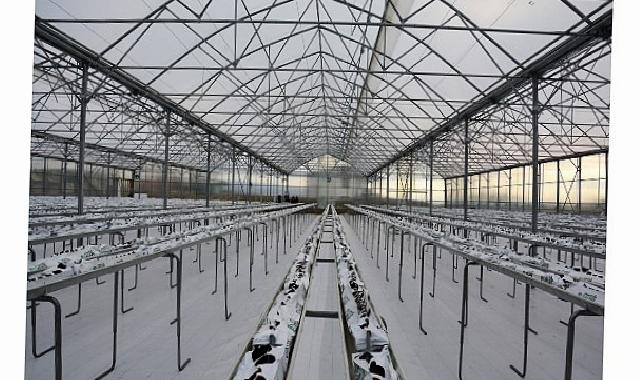 Termal Sera İle Verimli Üretim Başlıyor