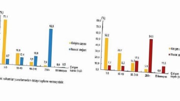 Teşebbüs Özelliklerine Nazaran Milletlerarası Hizmet Ticareti İstatistikleri, 2023