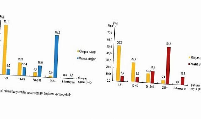 Teşebbüs Özelliklerine Nazaran Milletlerarası Hizmet Ticareti İstatistikleri, 2023