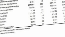 Toplumsal Muhafaza İstatistikleri, 2024