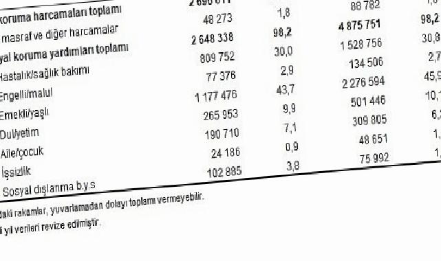 Toplumsal Muhafaza İstatistikleri, 2024