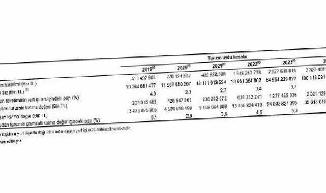 Turizm Uydu Hesabı, 2024