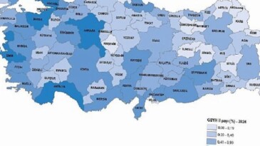 Vilayet Bazında Gayrisafi Yurt İçi Hasıla, 2024