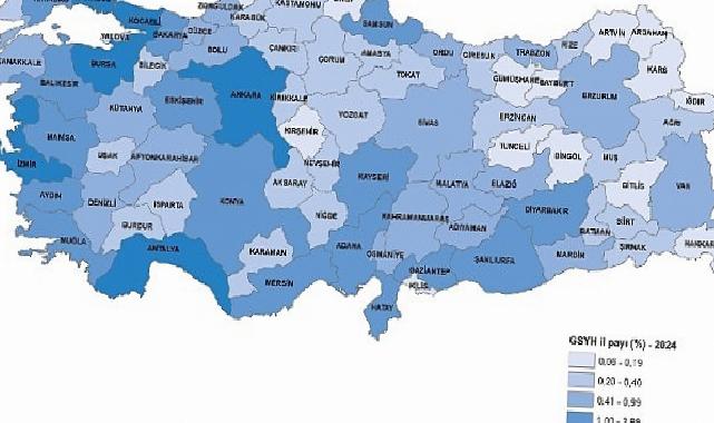 Vilayet Bazında Gayrisafi Yurt İçi Hasıla, 2024
