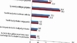 Yenilik Araştırması, 2024
