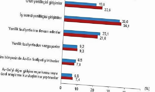 Yenilik Araştırması, 2024