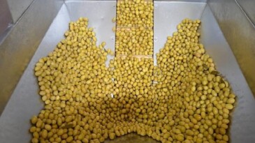 Zeytin ve zeytinyağı bölümünde güçler URGE Projesi’nde birleştirilecek