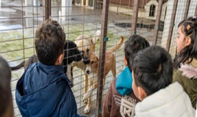 86 bin tedavi, 13 bin kısırlaştırma