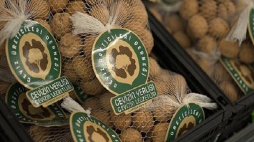 A101, Yerli Cevizi Üreticisinden Tüketiciye Taşıyor