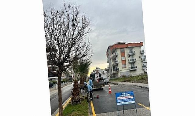 Aydın’ın Ulaşım Altyapısı Lider Çerçioğlu’nun Çalışmaları ile Güçleniyor