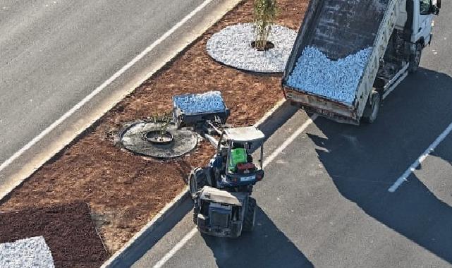 Başkan Çerçioğlu’ndan Acarlar–Şehir Hastanesi Yolunda Peyzaj Düzenlemesi