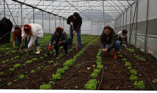 Bayan ve gençler, Büyükşehir’le tarıma kazandırılıyor