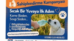 Bayrampaşa’da ‘can dostlar’ yuvalarını bekliyor