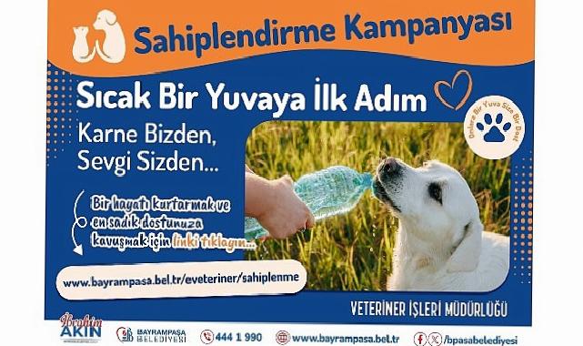 Bayrampaşa’da ‘can dostlar’ yuvalarını bekliyor