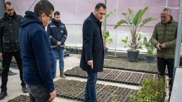 Bornova kendi yeşilini kendi üretiyor