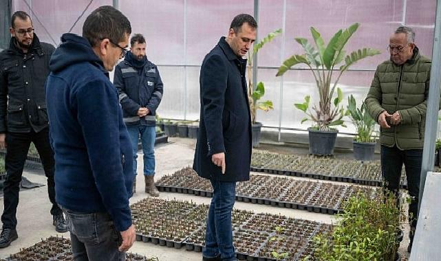 Bornova kendi yeşilini kendi üretiyor