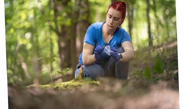 British Council’dan Türkiye’de STEM alanlarında mezun bayan adaylara İngiltere’de tam burslu yüksek lisans fırsatı