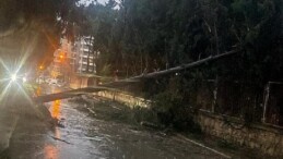 Buca Belediyesi gruplarının fırtına ve yağış mesaisi