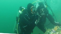 Büyükakın: “Dipten diriliş tüm Marmara’ya yayılıyor”