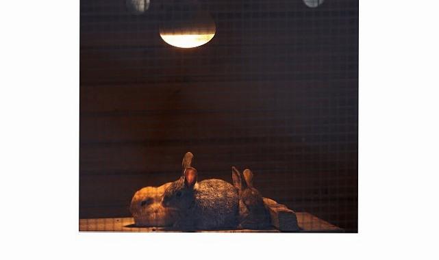 Büyükşehir Doğal Ömür Parkı’nda kış önlemleri