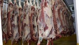Büyükşehir Mezbahası’nda 6 bin 29 kesim yapıldı