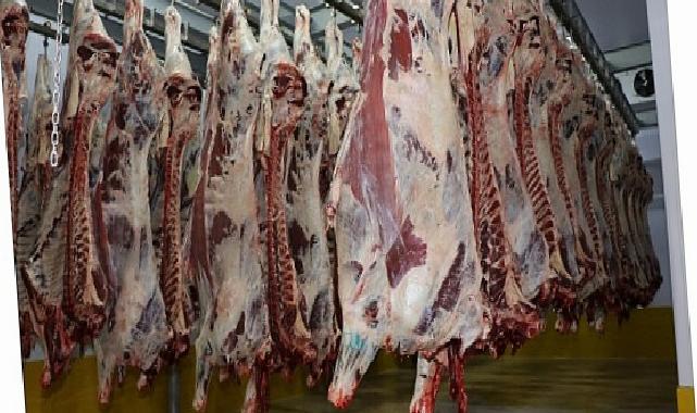 Büyükşehir Mezbahası’nda 6 bin 29 kesim yapıldı