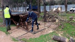 Büyükşehir, şiddetli lodosa karşı teyakkuzda