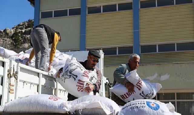 Büyükşehir’den 2025 yılında hayvancılığa 503 bin 625 kg yem takviyesi
