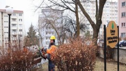 Çankaya’da Budama Çalışmaları Bahar Öncesi Sürat Kazandı