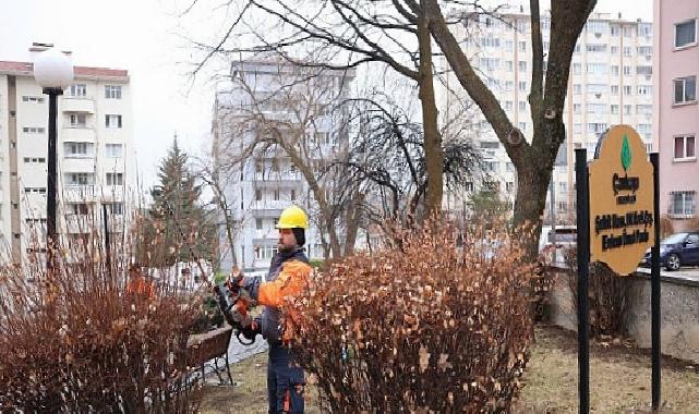 Çankaya’da Budama Çalışmaları Bahar Öncesi Sürat Kazandı