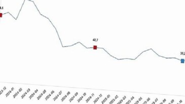 Ciro Endeksleri, Kasım 2025
