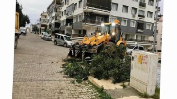 Didim Belediyesi Grupları Her Şartta Alanda