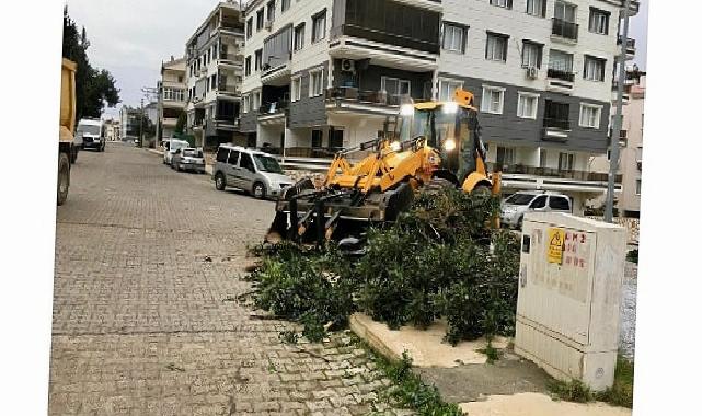 Didim Belediyesi Grupları Her Şartta Alanda