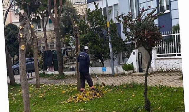 Didim Belediyesi Gruplarından İlçe Genelinde Ağır Mesai
