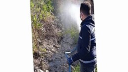 Didim’de Halk Sıhhati İçin Vektörlere Karşı Faal Gayret