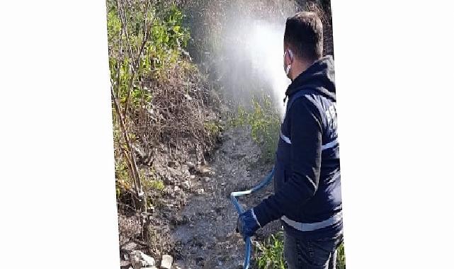 Didim’de Halk Sıhhati İçin Vektörlere Karşı Faal Gayret