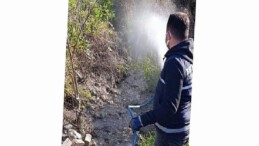 Didim’de Halk Sıhhati İçin Vektörlere Karşı Faal Uğraş