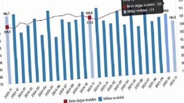 Dış Ticaret Endeksleri, Kasım 2025