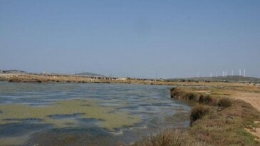 Egeli Akademisyen AB Dayanaklı “HALO-FORCE” Projesinde yer aldı