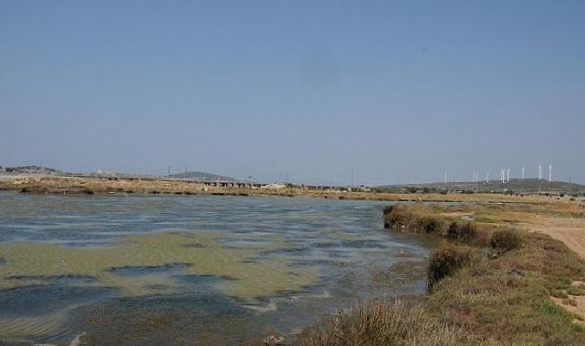 Egeli Akademisyen AB Dayanaklı “HALO-FORCE” Projesinde yer aldı