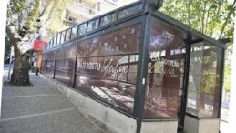 Eros Kedi Kliniği Bornova’da umut merkezi oldu