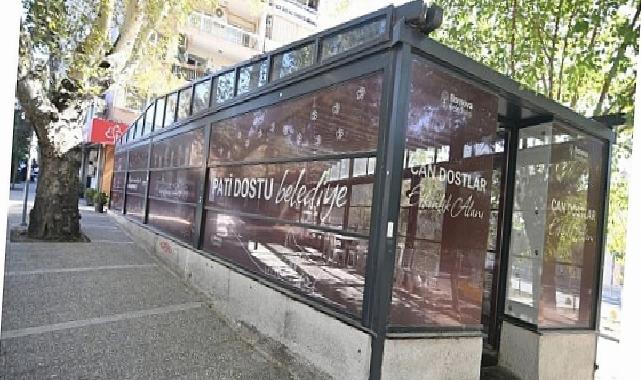 Eros Kedi Kliniği Bornova’da umut merkezi oldu