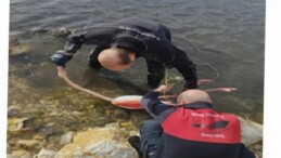 Flamingoya hayat veren kurtarma operasyonu