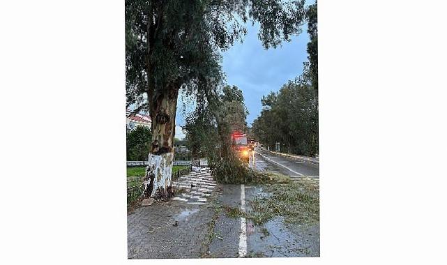 Foça Belediyesi Takımları Fırtına ve Yağışa Karşı Teyakkuzda