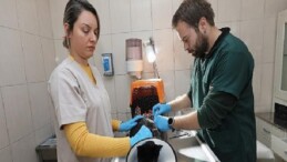 Gaziemir Belediyesi 6 bin 222 can dostun hayatına dokundu